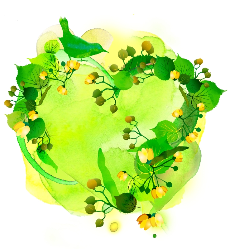 LYME TREES FOR FREEDOM - z_czech day illustration.jpg